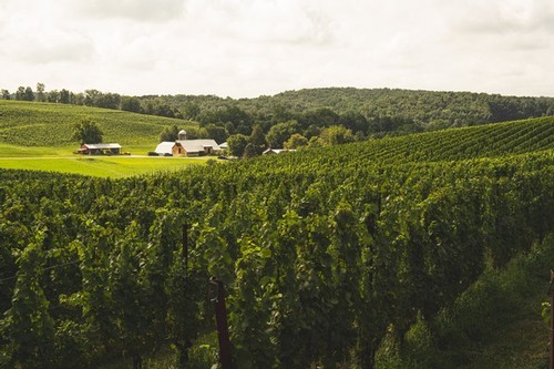 a farm with a house in the distance