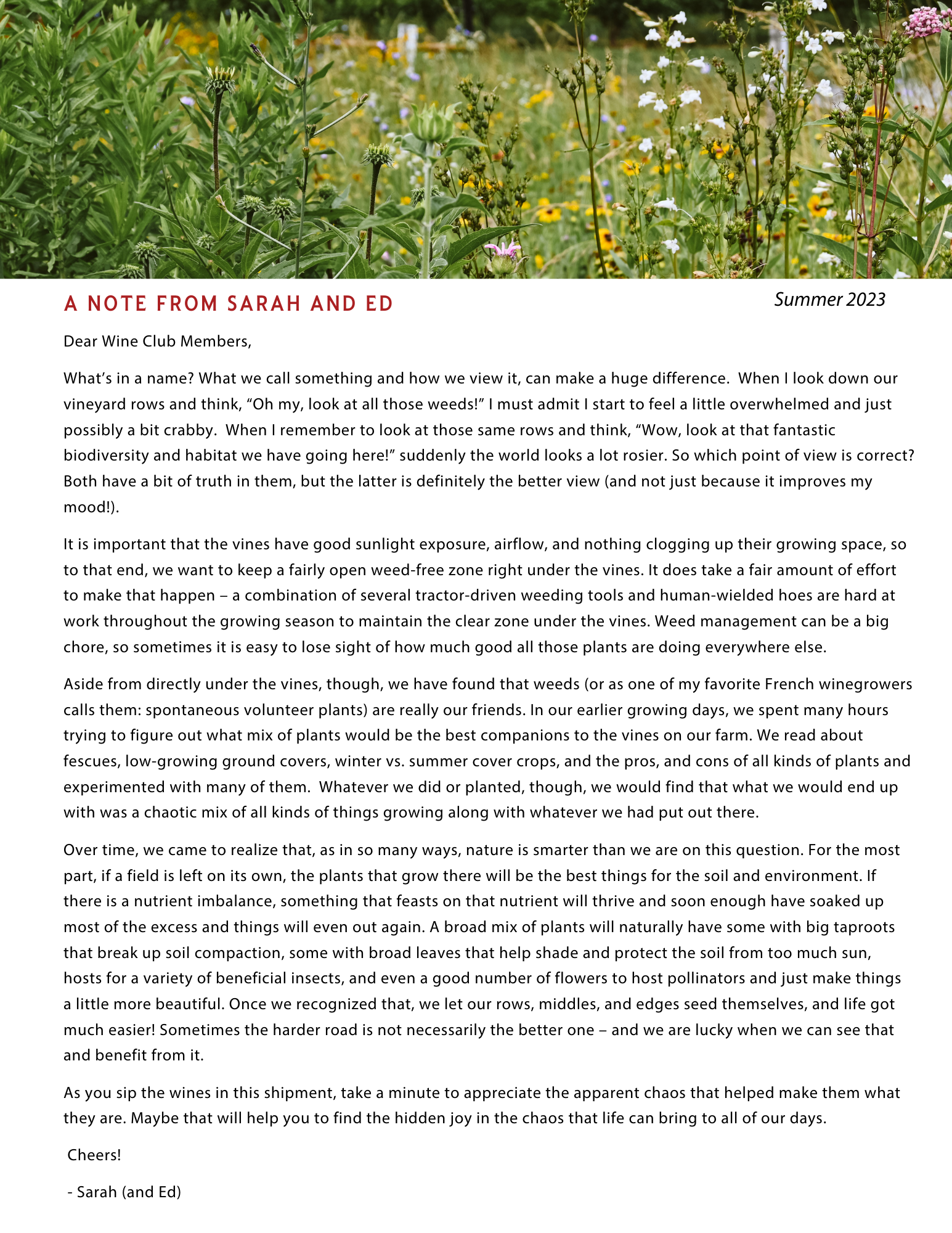 Black Ankle Vineyards - Blog - Summer Newsletter 2023