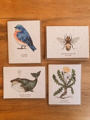 Greeting Cards With Seeds
