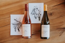 Boots Box: Life Cycle of a Vine